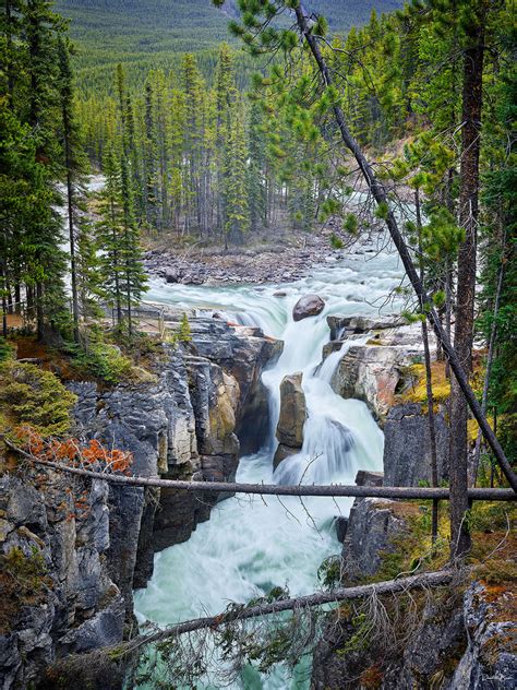 Sunwapta Falls – David Beavis Fine Art