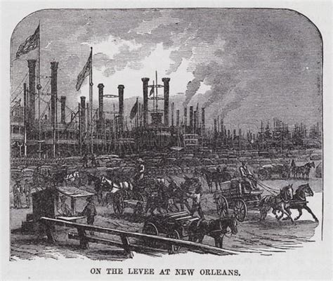 On the Levee at New Orleans stock image | Look and Learn