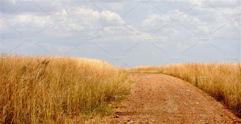 African landscape featuring safari, nature, and landscape | Nature Stock Photos ~ Creative Market