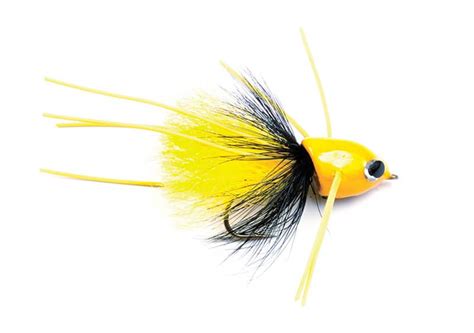 Our Top 11 Bass Flies: The Best Fly Fishing Lures for Bass