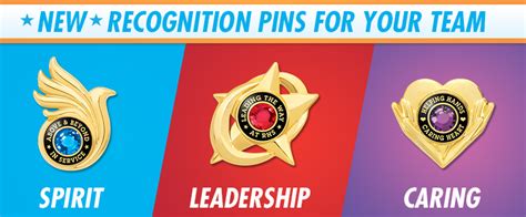 Recognition Pins - Brown Originals™