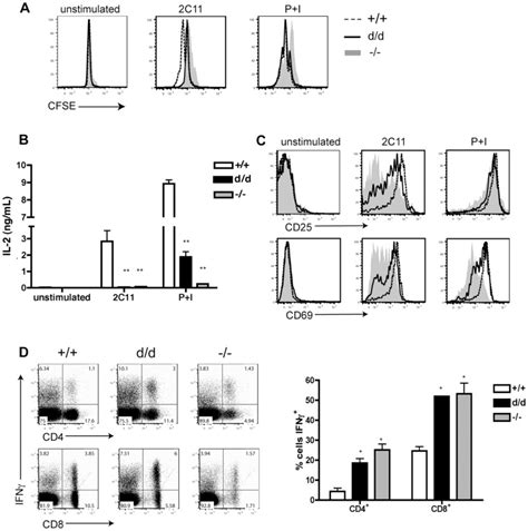 (A) Splenocytes were isolated from six to eight-week-old mice and... | Download Scientific Diagram