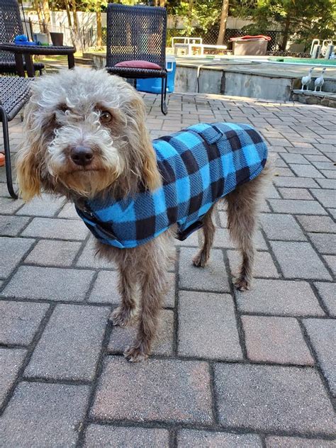 Fashionable Plaid Dog Jacket, Cute Pet Clothing, Comfy Dog Winter Coat, Pet Vest, Warm Dog ...