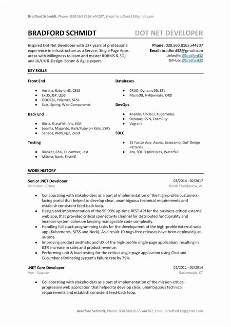 41+ Net developer resume sample That You Can Imitate