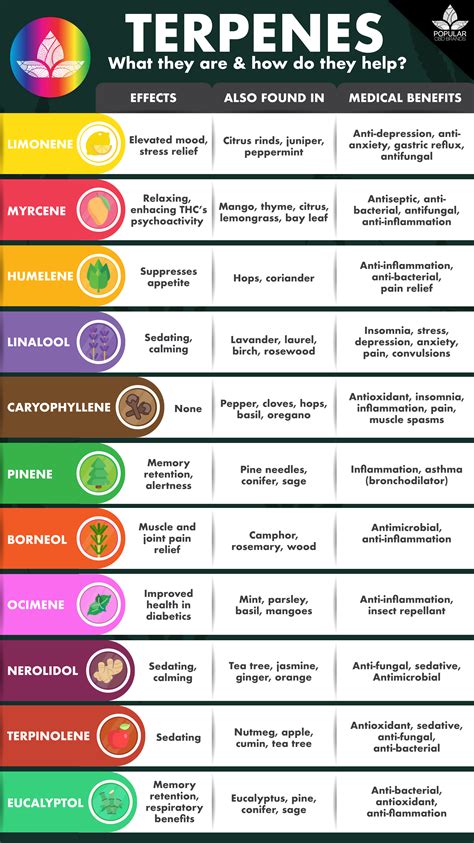 Terpenes - What are they and how do they help? : r/CBDOilReviews