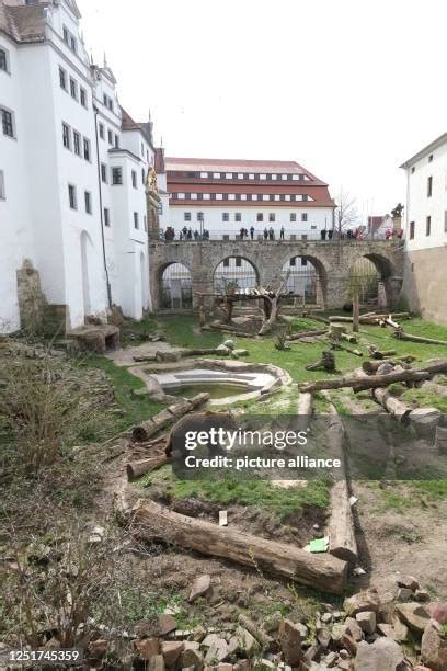 Torgau Castle Photos and Premium High Res Pictures - Getty Images