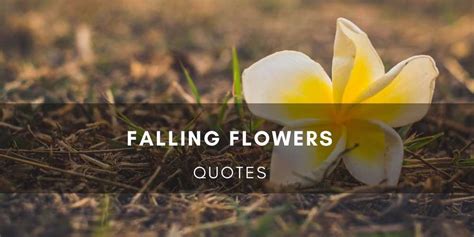 40+ Falling & Dying Flower Quotes & Sayings Related to Life