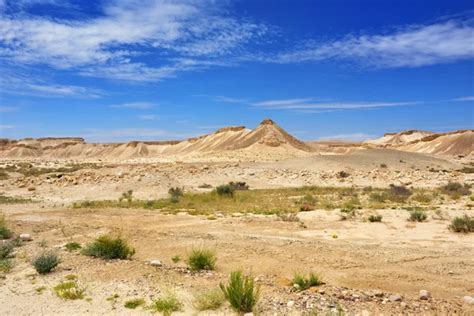 Negev desert Stock Photos, Royalty Free Negev desert Images ...