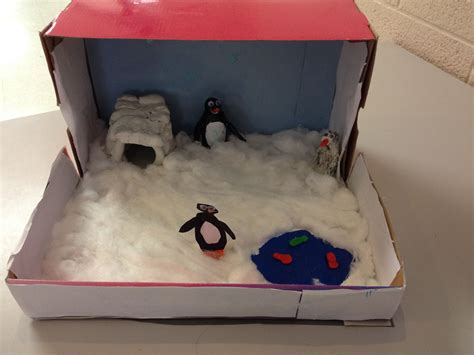 Penguin habitat diorama made by gr.4 student Science Projects, School Projects, Projects For ...