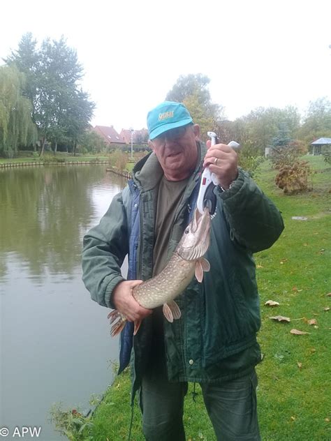 Pêche du brochet au leurre du 27 octobre 2018 - Wambrechies pêche