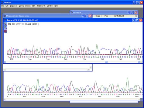 Sequencing