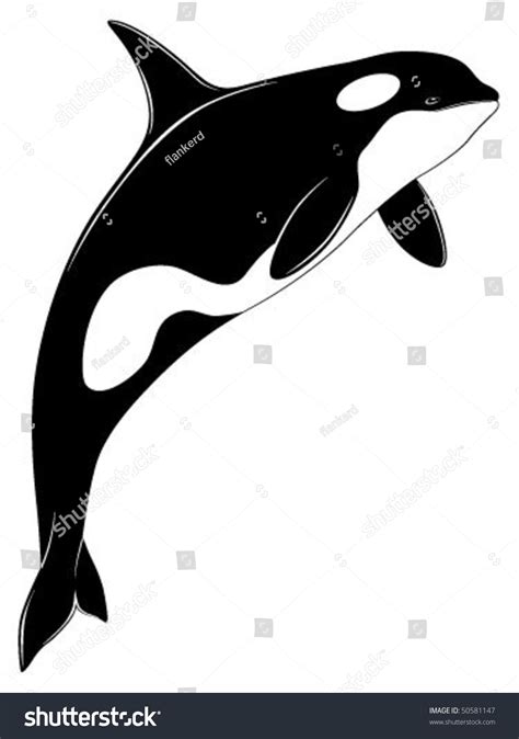 Killer Whale Tattoo Stock Vector (Royalty Free) 50581147 | Shutterstock