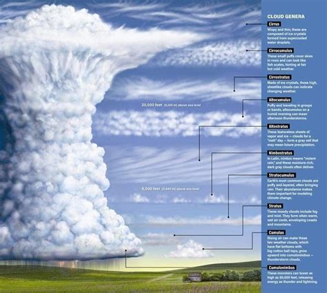 Types of clouds | Meteorologie, Erdkunde, Naturwissenschaft