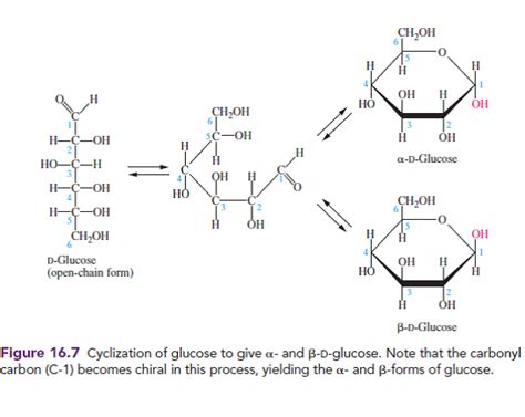 Solved: The linear structure of D-glucose is shown in Figure 16 ...