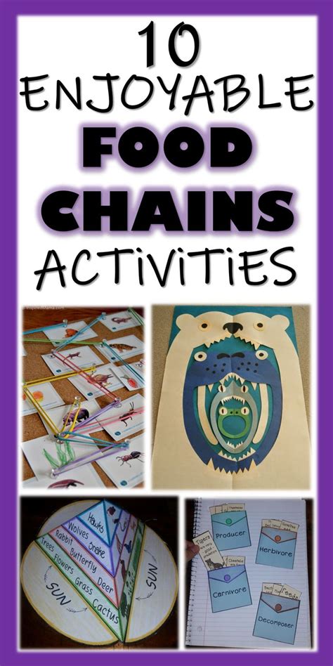 10 Enjoyable Food Chains Activities and Resources | Food chain activities, Food web activities ...