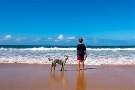 Top 3 Dog-Friendly Beaches Near Cambria, California (with Pictures ...