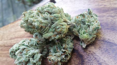 Chemdawg aka Chemdog Weed Strain Information | Leafly