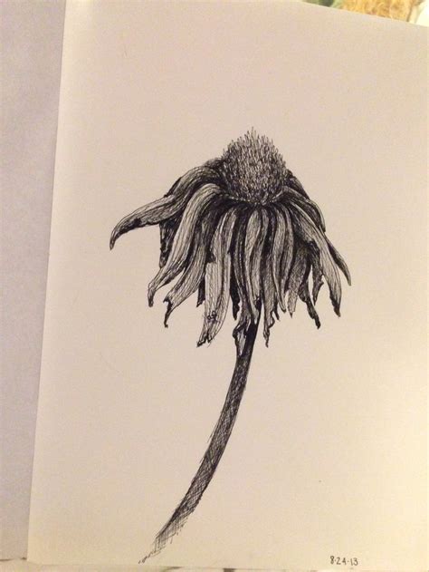 Pin by rosie golden on tattoo | Dead flower drawing, Flower tattoos, Flower drawing