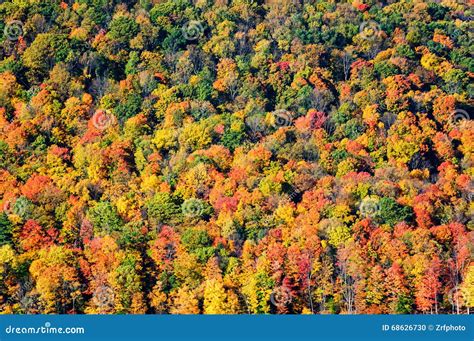 Allegheny National Forest stock photo. Image of mountain - 68626730