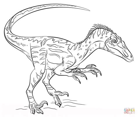 Disegni Da Colorare Dinosauri Velociraptor | Hot Sex Picture