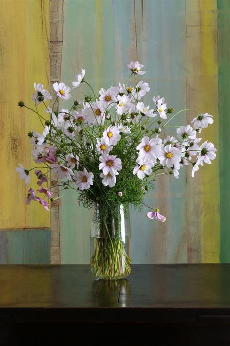 Cosmos Flowers Bouquet in Glass Vase Bunch on Dark Background Stock Photo - Image of central ...