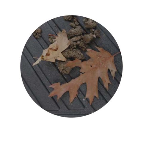 Model Y Floor Mats - 3D Extreme Performance - Tesloid Canada