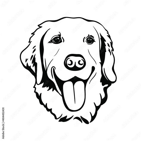 Labrador Retriever. Line art. Template. Close-up. Clip art. Hand ...