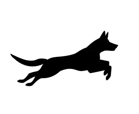 Belgian Malinois Illustrations, Royalty-Free Vector Graphics & Clip Art - iStock