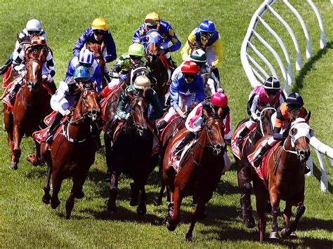 Adelaide Cup Day scratchings and preview | Adelaide Now