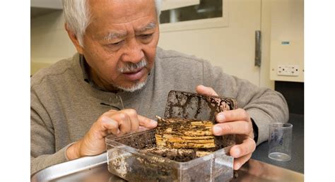 UF entomologist chosen for hall of fame | Morning Ag Clips