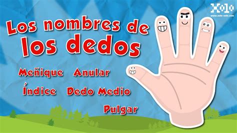 Nombre de los dedos de la mano español para niños - Videos Aprende - YouTube