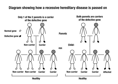 Recessive hereditary disease transmission | Gouvernement du Québec