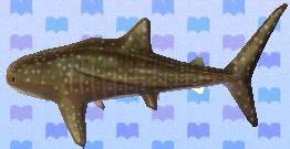 Whale Shark - Nookipedia, the Animal Crossing wiki