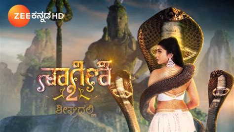 Naagini 2: Here's All That We Know About The Upcoming Show On Zee Kannada - ZEE5 News