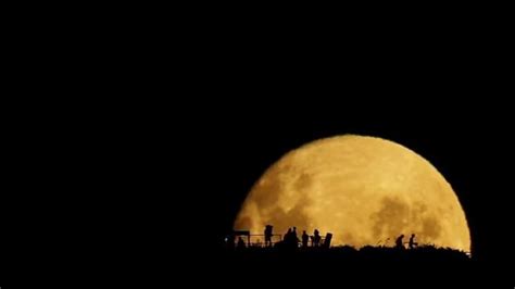 This is stunning! Full Moon Silhouettes by Mark Gee. Full Moon ...