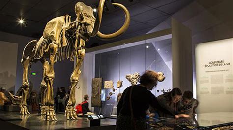 MUSEE DES CONFLUENCES : 2024 horaires, tarifs, animaux à voir, animations