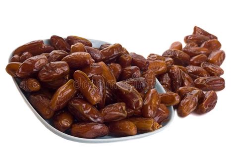 Fruit dates stock photo. Image of brown, fresh, mediterranean - 15817600