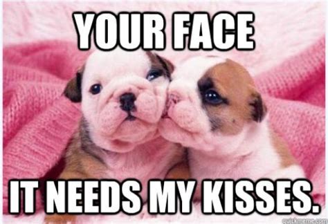 Kissing dog Memes