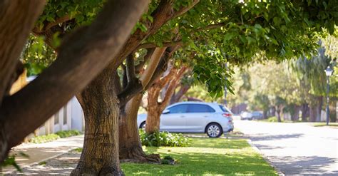 Precinct Parking in the Town of Claremont