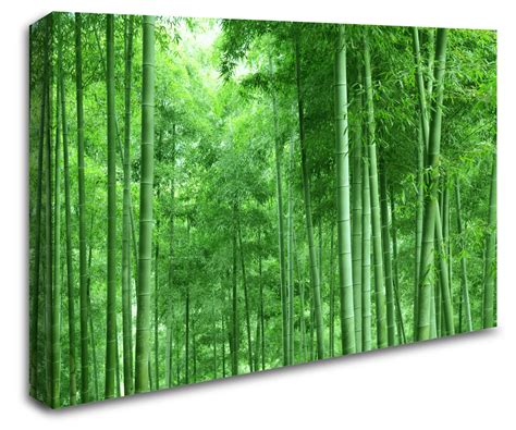 Tall Bamboo Forest Trees Wall Art Canvas 8998-1015 - Stickers Wall