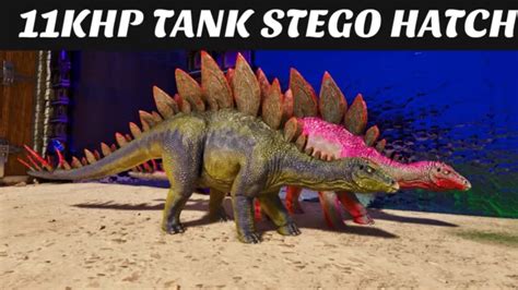 ARK SURVIVAL ASCENDED PvE PC/XBOX/PS5 Top Stats Stegosaurus (Stego) ASA ...