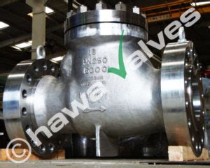 hawa-valves-check06 — Ball Valves & API 6A Valves Manufacturers Company in India