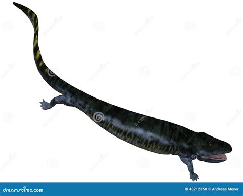 Eogyrinus Attheyi - 3D Dinosaur Stock Illustration - Illustration of chordata, death: 48212350