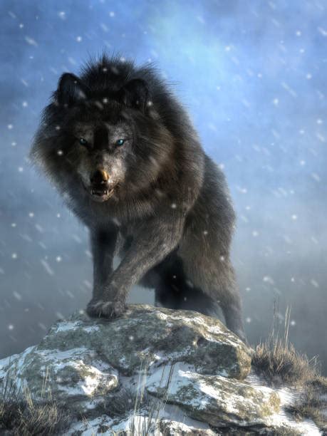 10+ Ice Age Wolf Stock Photos, Pictures & Royalty-Free Images - iStock