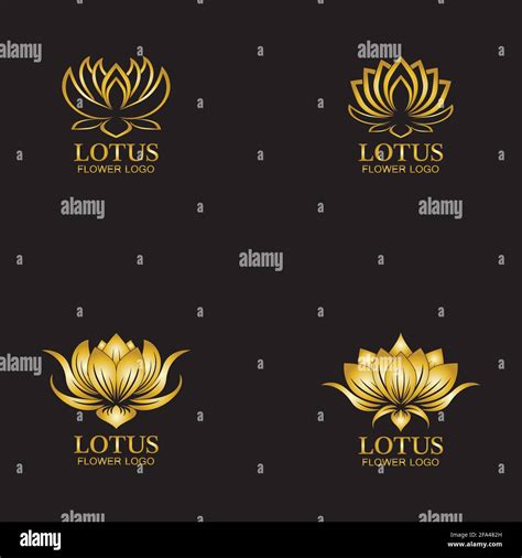 Golden lotus flower logo. Vector design template of lotus icon on dark background with golden ...