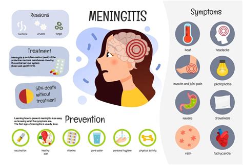 Meningitis: Symptoms, Causes, Types, Treatment, Risks, & More | by Healthchanger | Medium