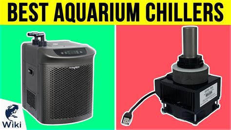 9 Best Aquarium Chillers 2019 - YouTube