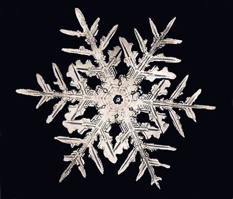 Image Gallery: Snowflakes | Smithsonian Institution Archives