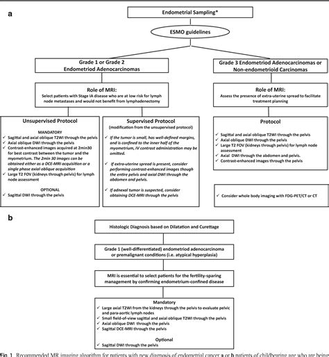 Endometrial Cancer MRI staging: Updated Guidelines of the European Society of Urogenital ...