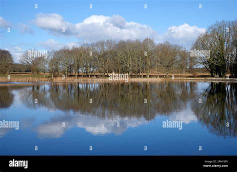 reflections of trees in lake, blickling park, norfolk, england Stock Photo - Alamy